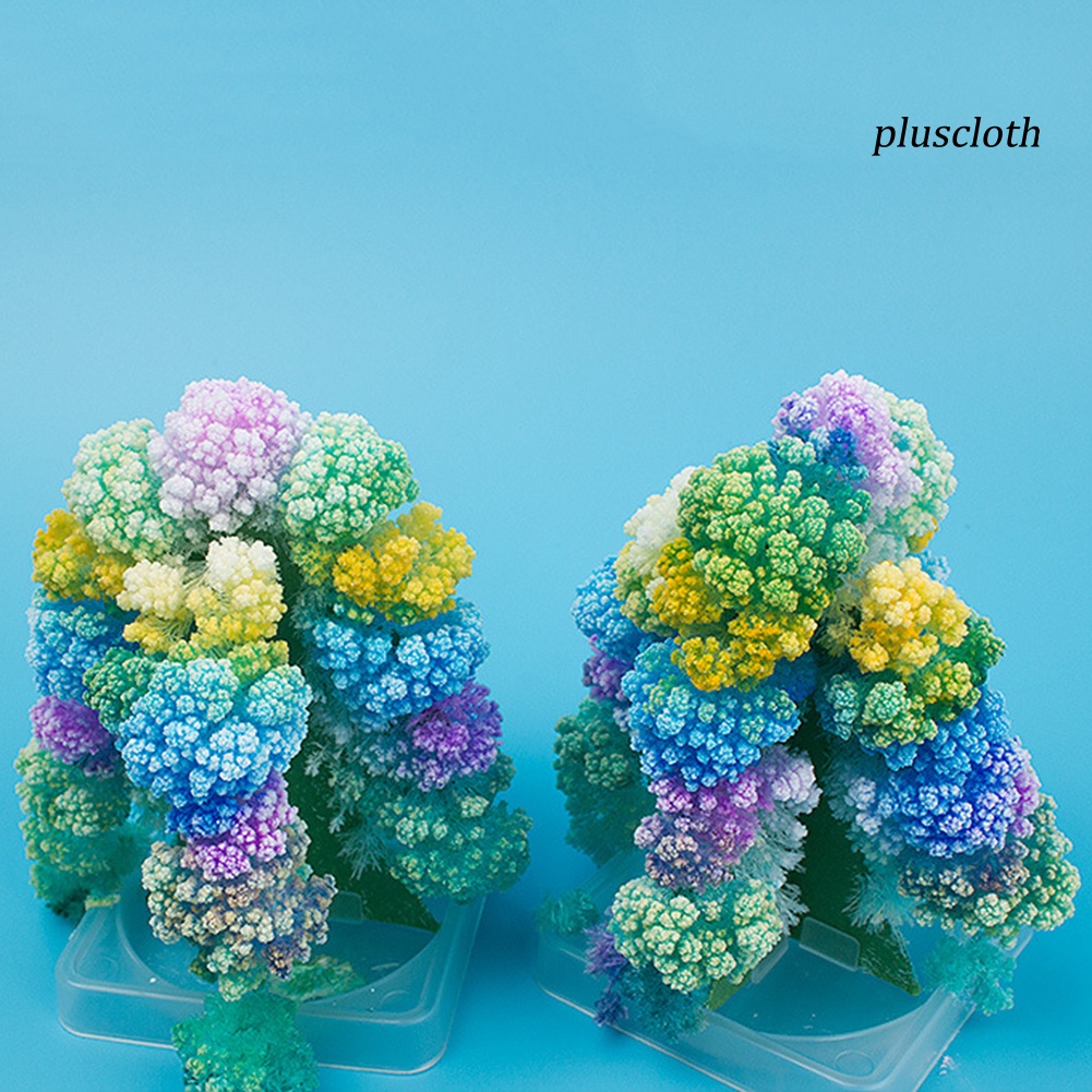 Cây Thông Giáng Sinh Ma Thuật Bằng Giấy Nở DIY Trang Trí Bàn Làm Việc Cho Bé