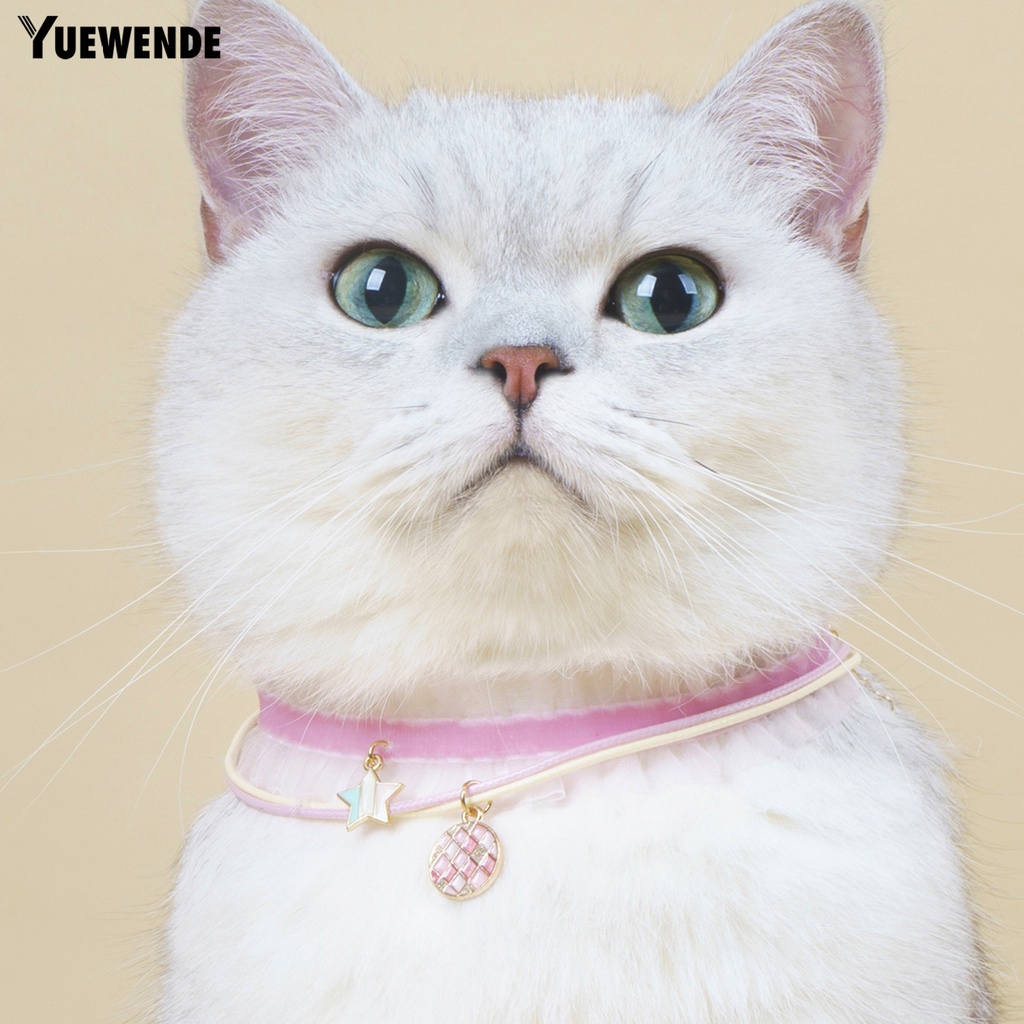 Bộ 2 Vòng Cổ Bằng Hợp Kim Chống Mài Mòn Dùng Chụp Ảnh Cho Thú Cưng