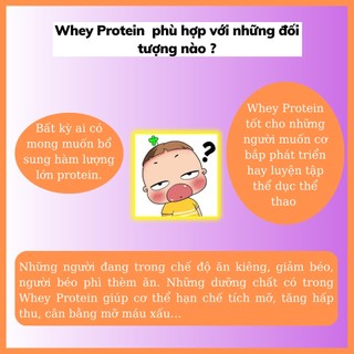 Whey Protein Isolate Mx Plus - Tăng Cơ Giảm Mỡ (500g)