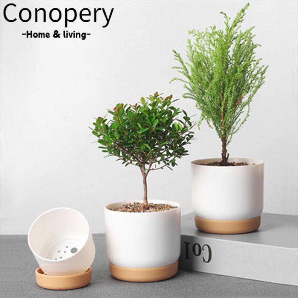 CONOPERY Chậu Hoa/ Cây Xương Rồng Tự Tưới Trong Nhà Tiện Dụng