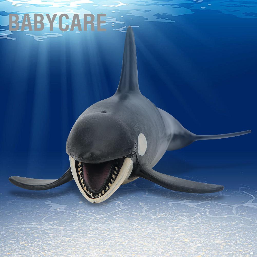 Babycare Có hàng sẵn Hình dạng cá voi sát thủ Mô phỏng mô hình động vật Sinh biển Trẻ em Đồ chơi rắn tĩnh