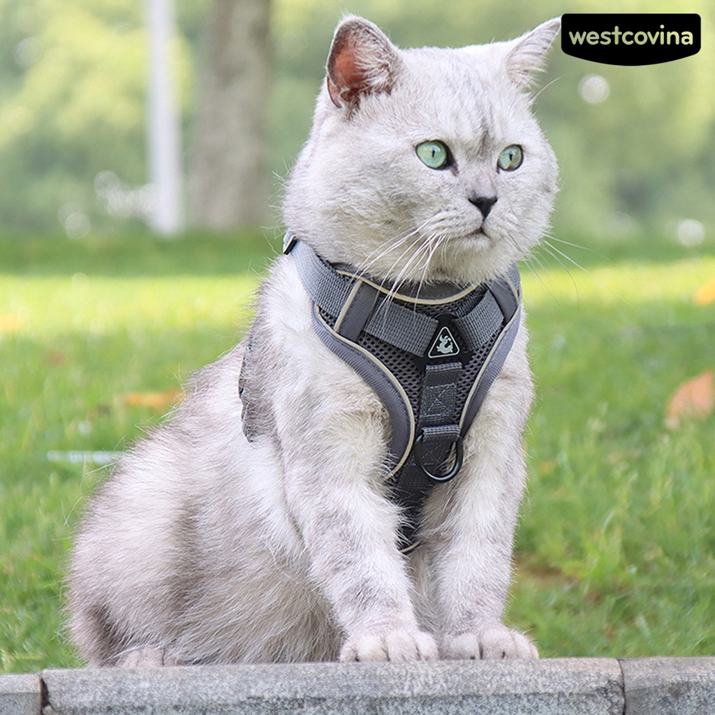 [COD]♞Dây Dắt Thú Cưng Đi Dạo Phản Quang An Toàn Tiện Dụng