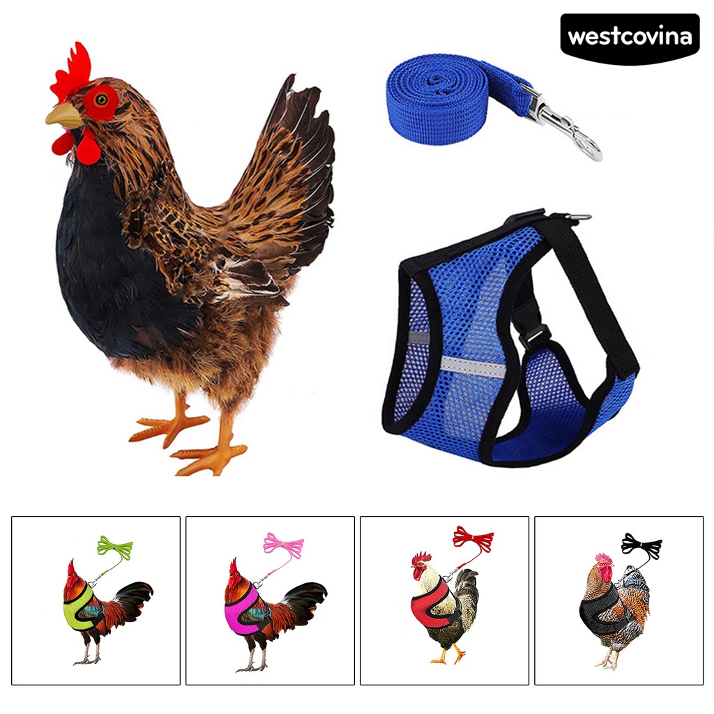 [COD]♞1 Bộ Dây Đai Dắt Gà / Vịt Thoáng Khí Tùy Chỉnh Tiện Dụng Cho Sân Vườn