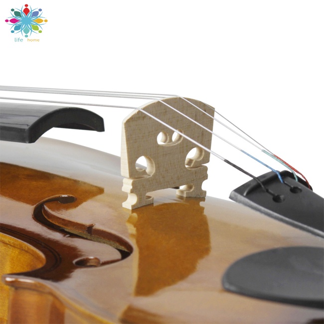 Đàn Violin Bằng Gỗ Trơn Kèm Hộp Đựng Dành Cho Người Mới Bắt Đầu