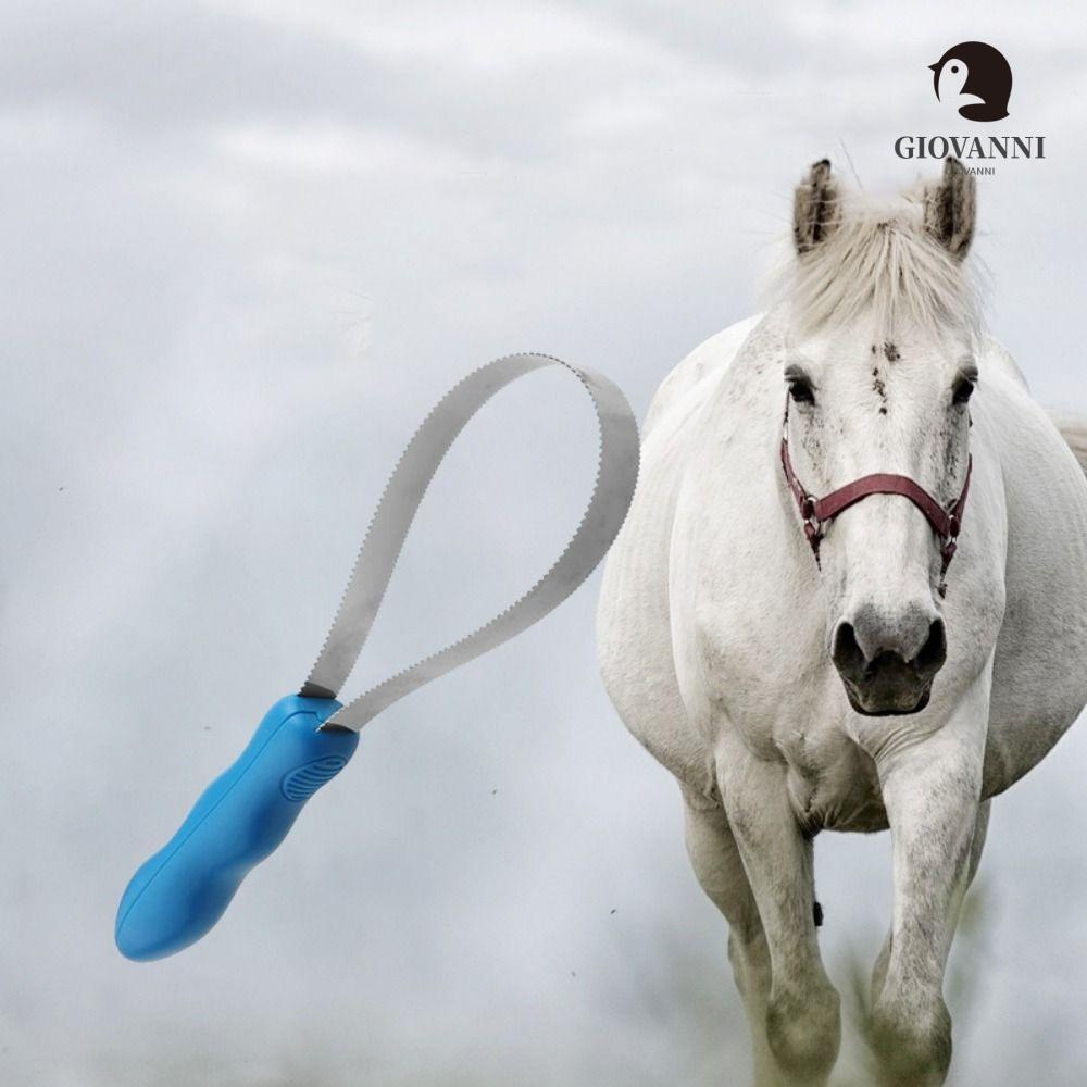 Lược Chải Lông Thú Cưng Hai Mặt Chống Ngứa Với Tay Cầm Chống Trượt Tiện Dụng