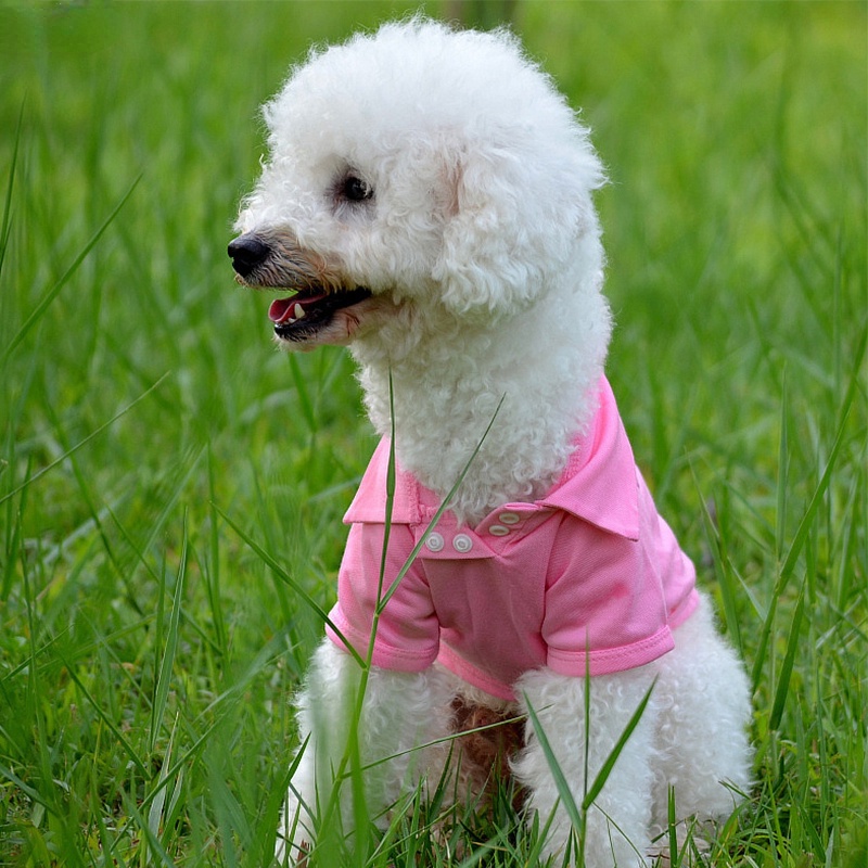 Áo Thun Mềm Mại Thoáng Khí Màu Trơn Dành Cho Chó Chihuahua Yorkies