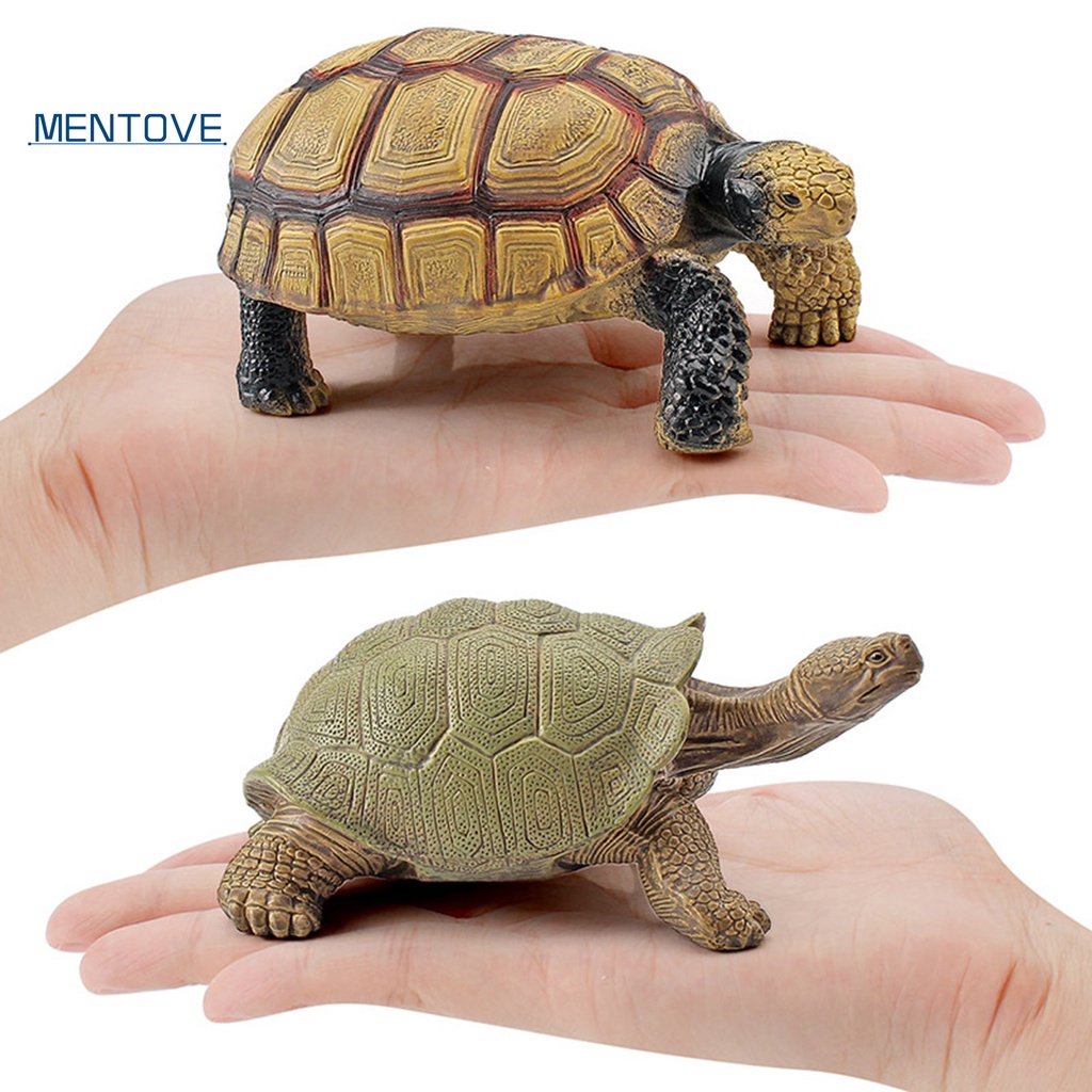 Mô Hình Rùa Biển 3D Sống Động Cho Bé