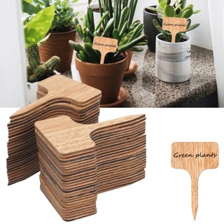 20 cái t-type bamboo plant labels eco-friendly wood plant sign tags garden markers for bonsai seed potted herbs flowers tool