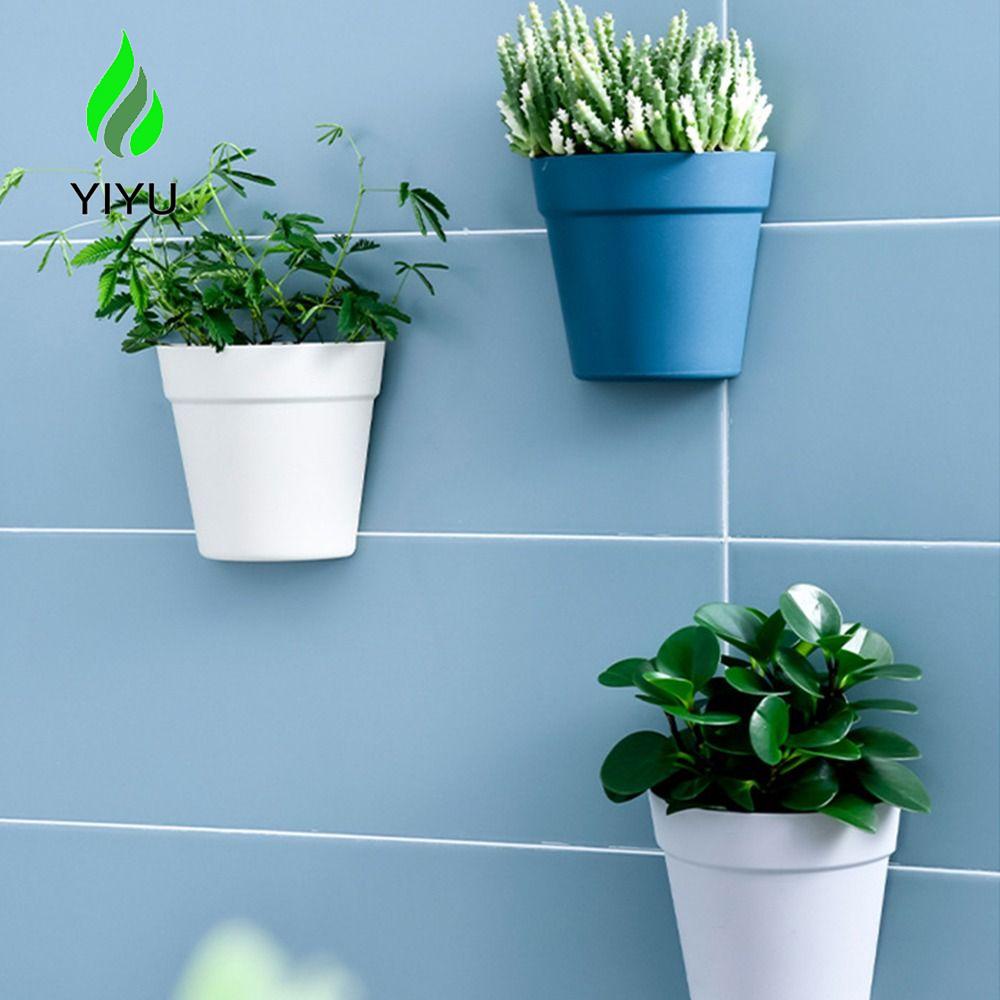 Chậu Trồng Cây Hình Bán Nguyệt Treo Tường Trang Trí Trong Nhà, Văn Phòng