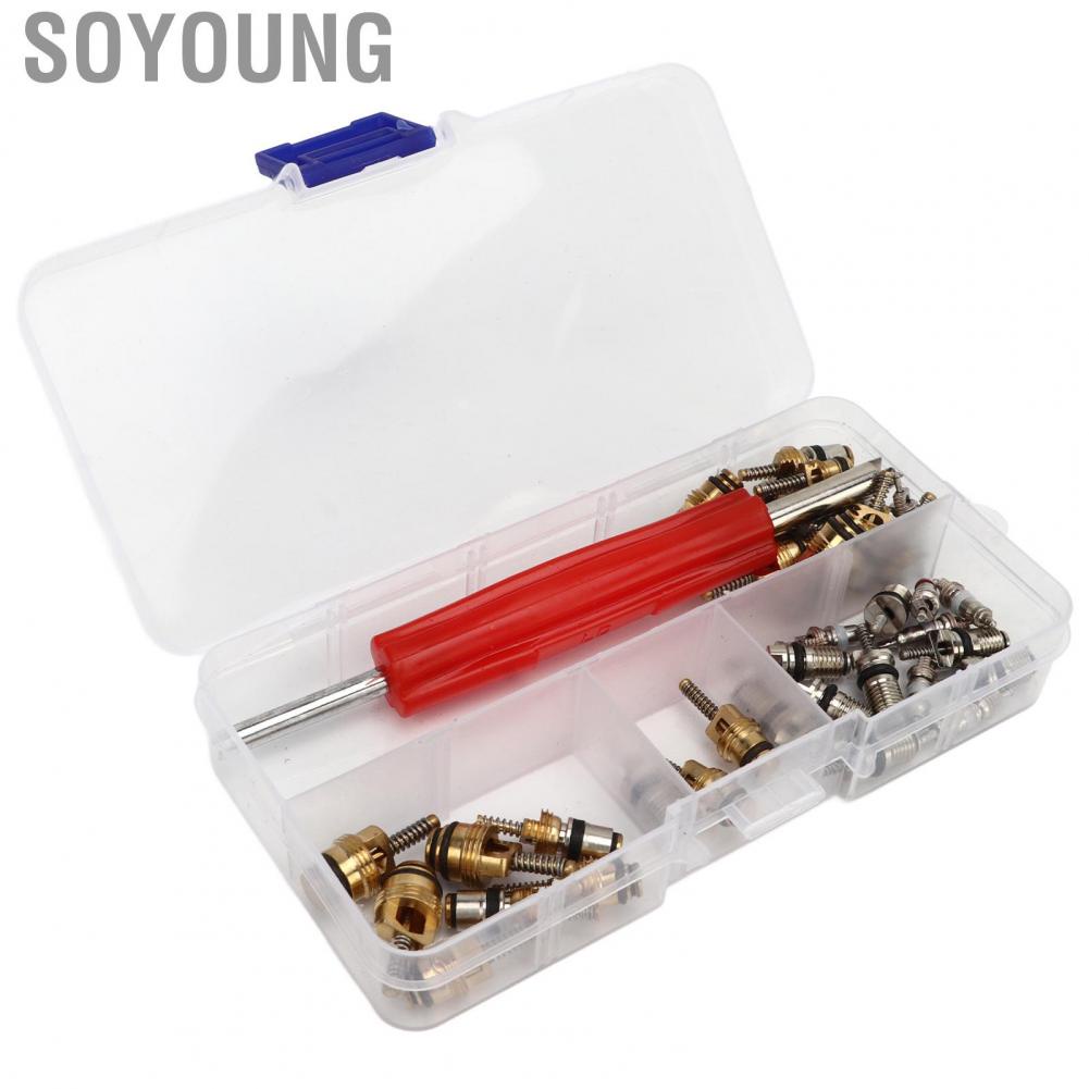 Soyoung AC Valve Core Repair Set  Multipurpose Refrigeration Tire Stem Lightweight Aluminium Copper 41Pcs Portable with Remover for Car Home