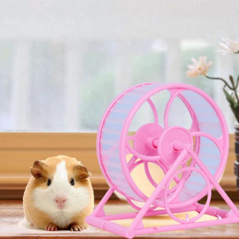 1 Vòng chạy cho hamster cầu vòng- whell chạy cho hamster- bánh chạy cho hamster màu sắc tươi tắngVòng chạy nhựa cho chuột hamster