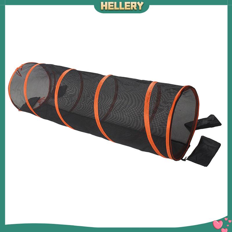 Đường Hầm Gấp Gọn Tiện Dụng Cho Mèo Cưng