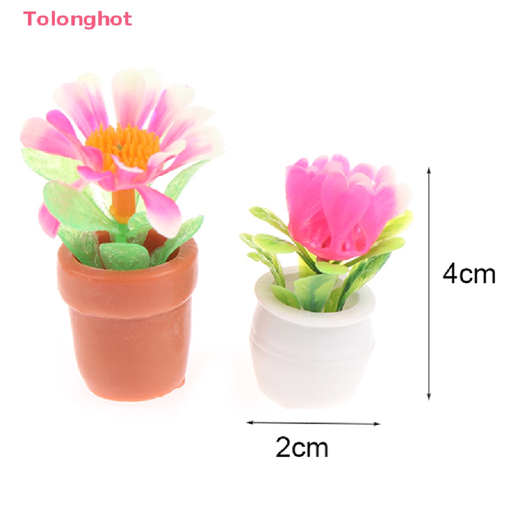 Bộ 5 Chậu Cây Mini Tỉ Lệ 1: 12 Dùng Trang Trí Nhà Búp Bê