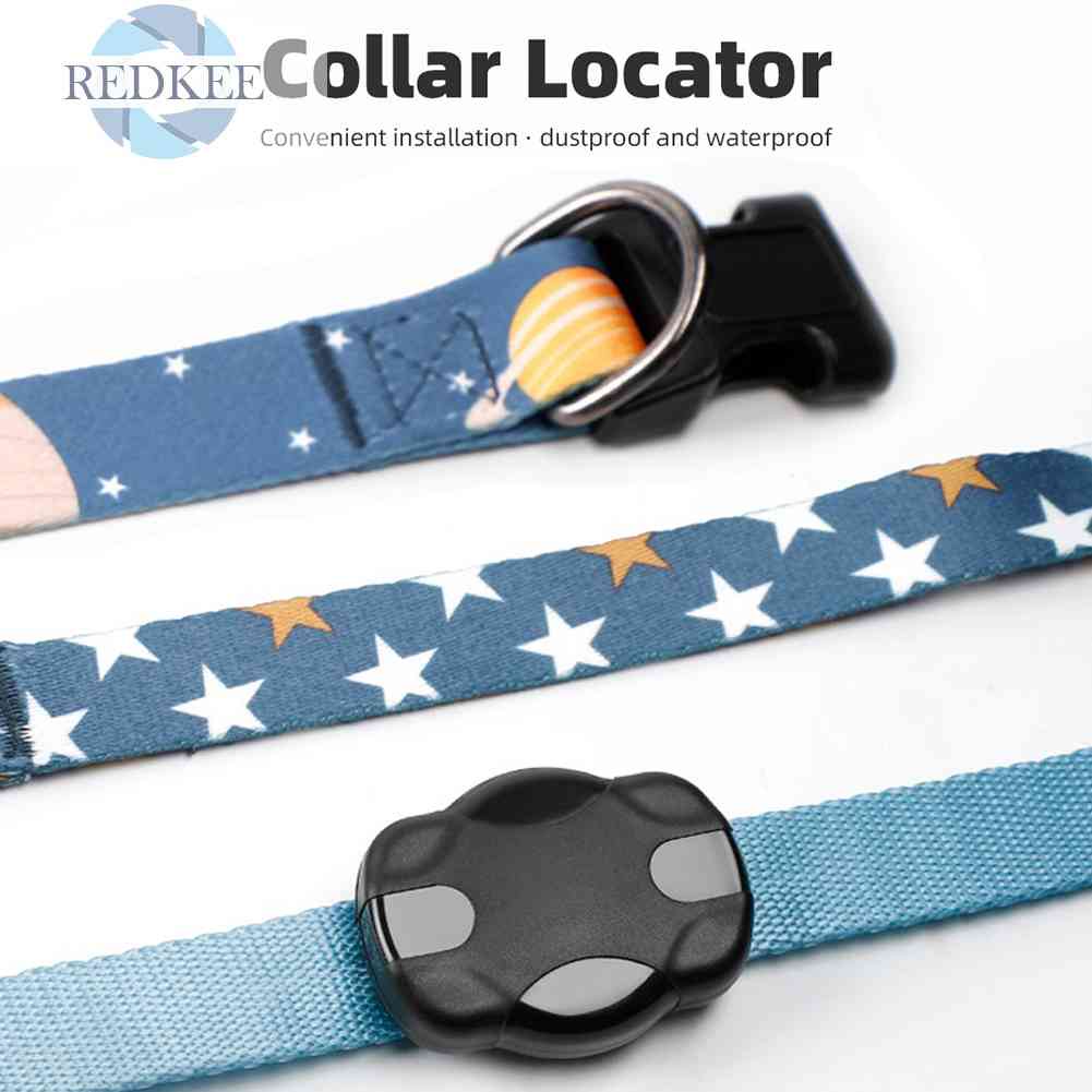 Hộp Đựng Theo Dõi Thú Cưng Chống Thất Lạc Chống Bụi Tiện Dụng