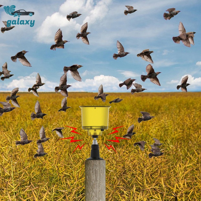 Galaxy Chuông Báo Động Đuổi Chim Sử Dụng Năng Lượng Mặt Trời Độ Sáng Cao