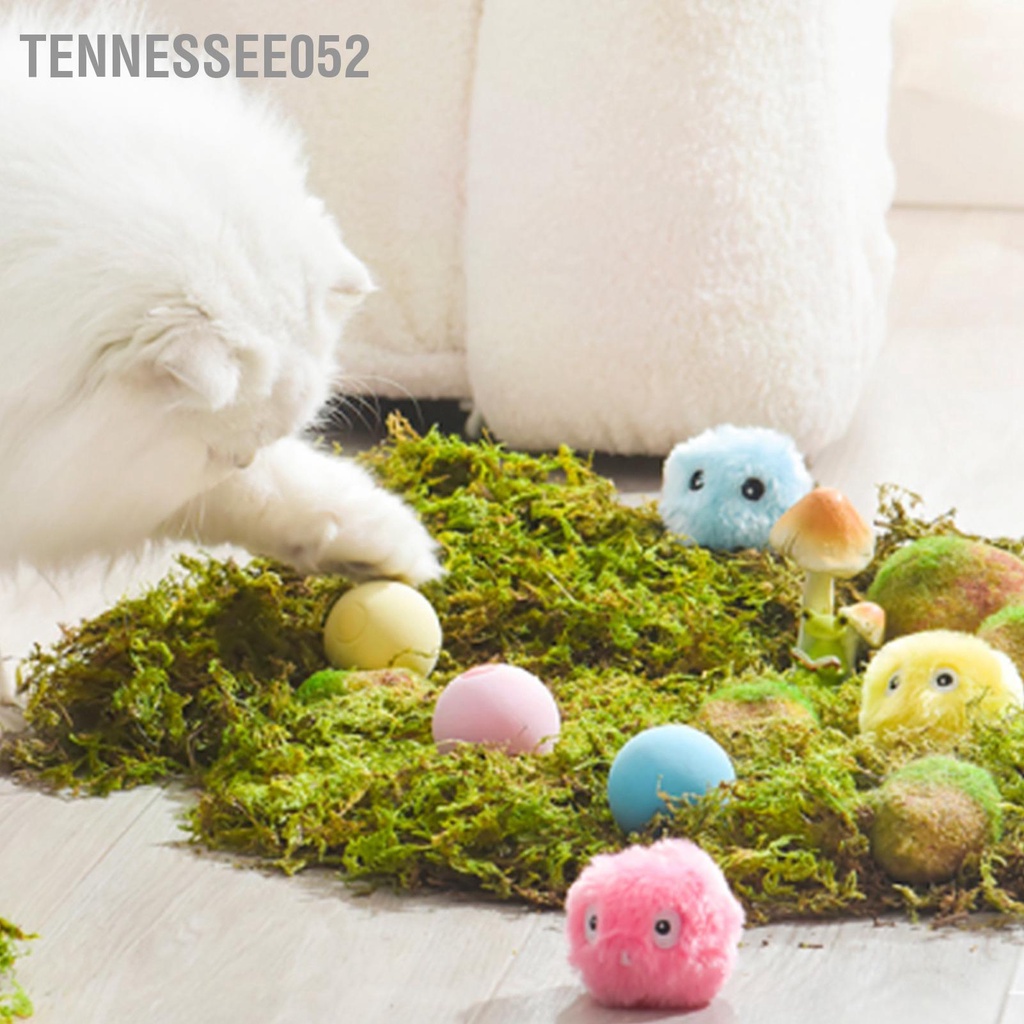 Tennessee052 Mèo Bóng Đồ Chơi Tương Tác Ngộ Nghĩnh Cảm Ứng Cắn Chống Mài Răng Âm Thanh Động Vật Cho Trong Nhà