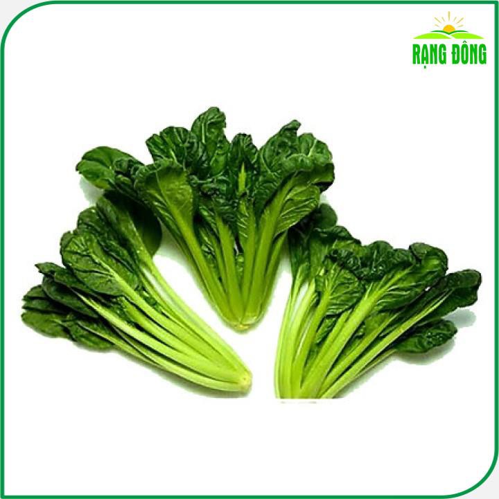 Hạt giống Cải Hoa Hồng  dễ trồng, kháng bệnh tốt - H2T FARM
