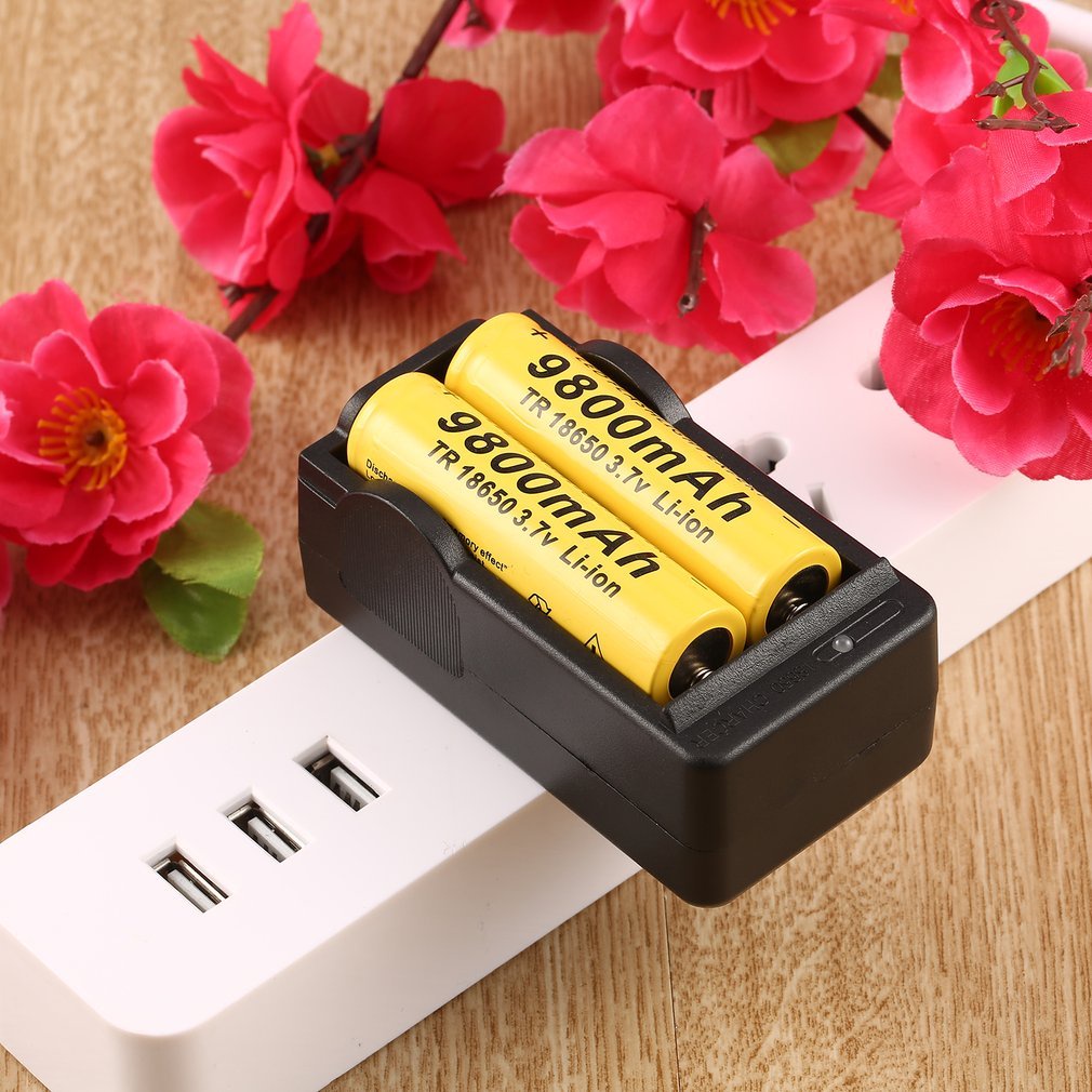 Ac 110-240V 18650 4.2V Rechargeable Li-Ion Dual Battery Charger Us Plug Travel Power Adapter Led Indicator [Q/11]
