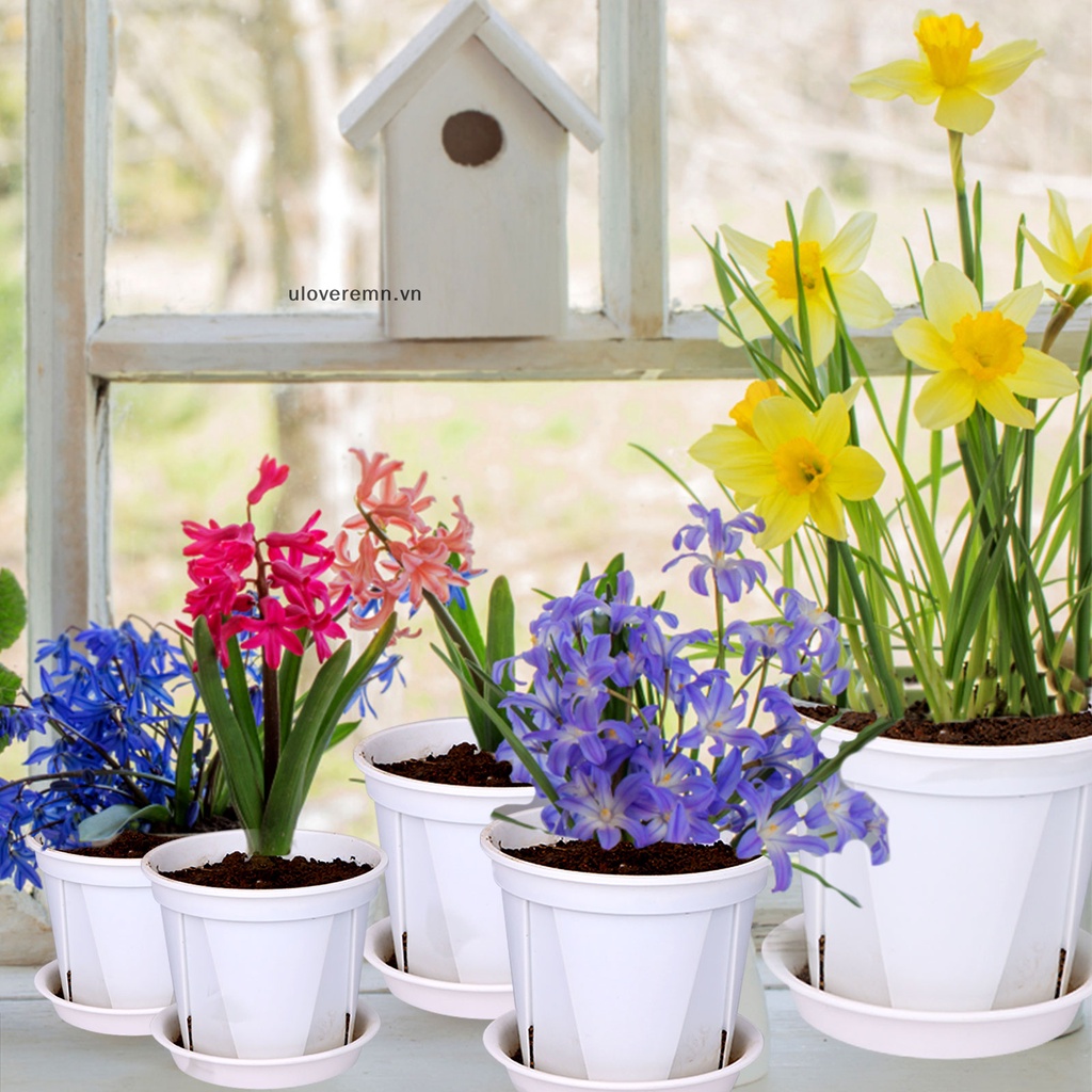 Bộ 36 Chậu Nhựa Trồng Cây Kèm Khay Và 100 Nhãn Dán 3 Kích Cỡ Khác Nhau