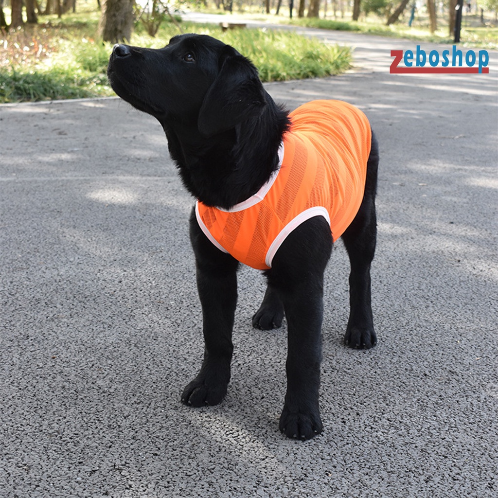 Áo Thun Thể Thao Dạng Lưới Thoáng Khí Cổ Tròn Dành Cho Cún Cưng