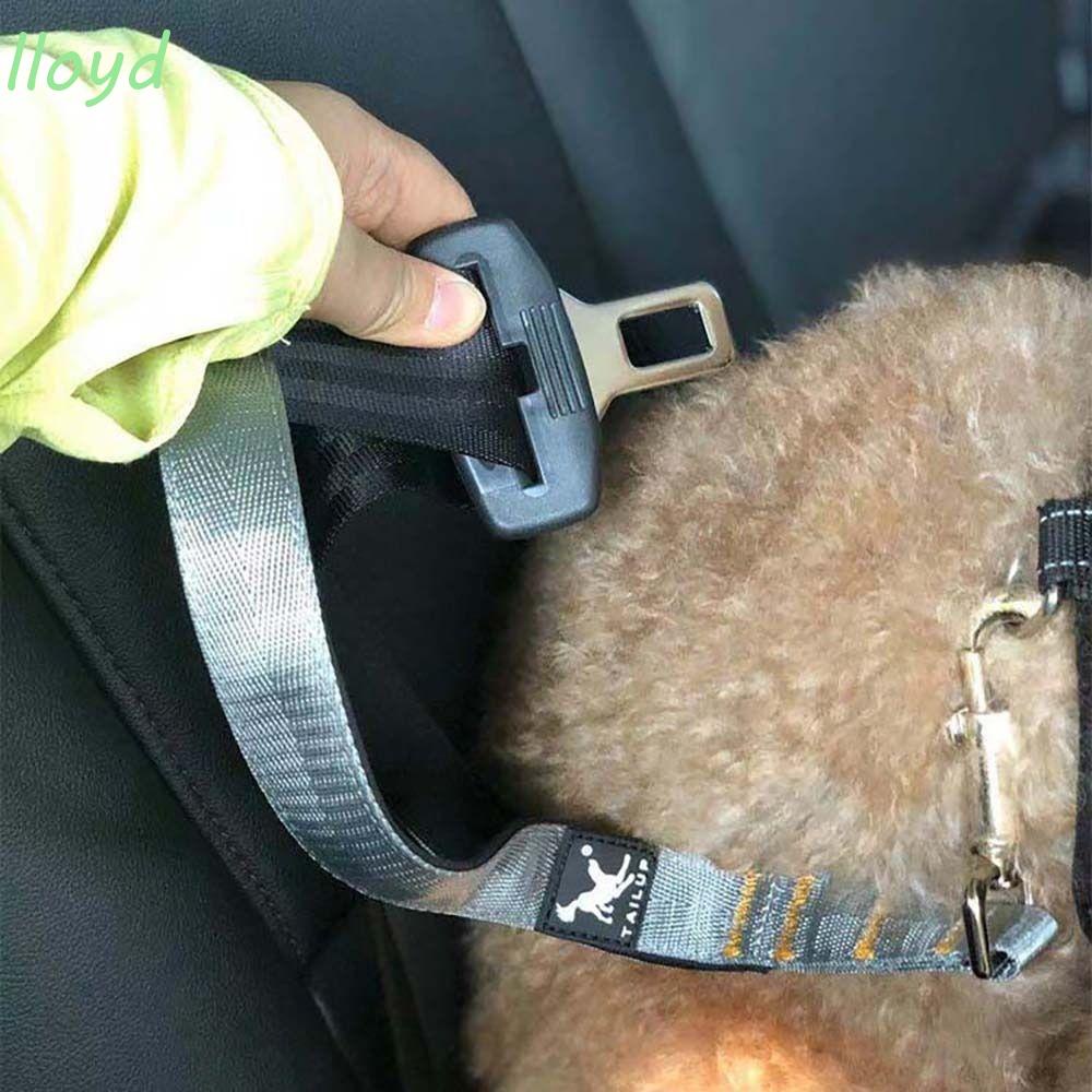 Dây Dắt Thú Cưng Đi Dạo Thiết Kế Tiện Lợi Dễ Dùng