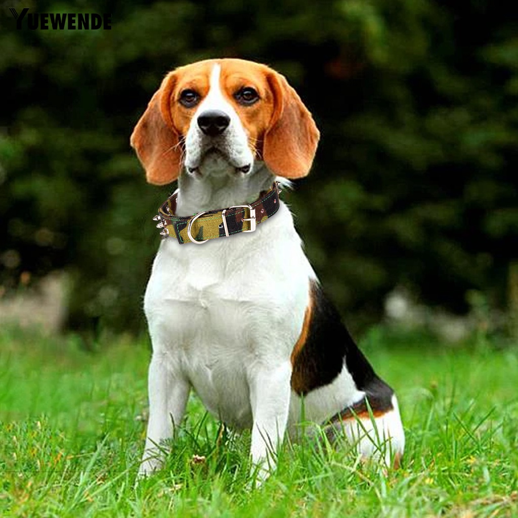 Yq.e Vòng Cổ Canvas Họa Tiết Rằn Ri Đính Đinh Tán Có Thể Điều Chỉnh Trang Trí Thời Trang Dành Cho Cún Cỡ