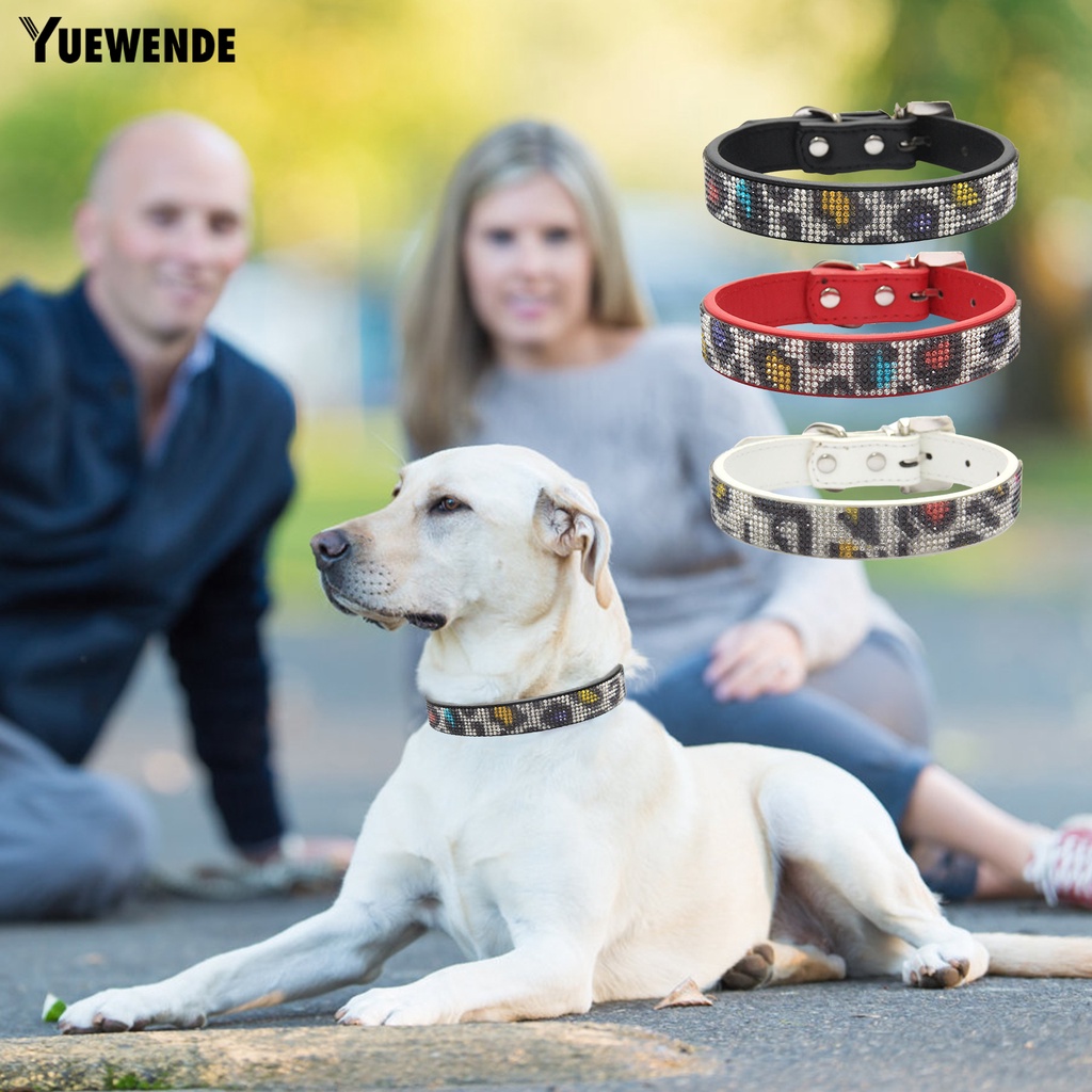 Vòng Cổ Giả Da Dắt Thú Cưng Đi Dạo Chống Lạc Đính Đá Lấp Lánh Dễ Điều Chỉnh Kích Thước