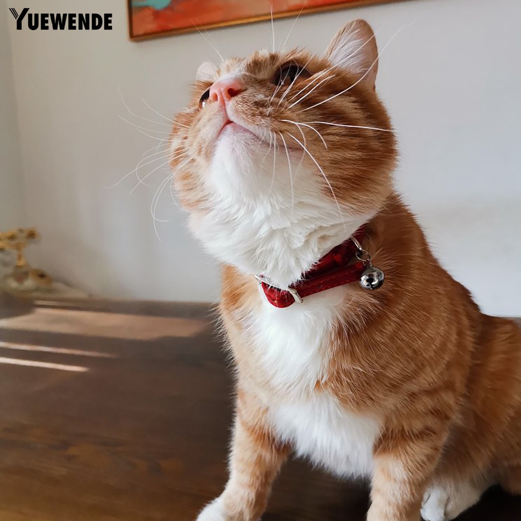 Vòng Cổ Nhiều Màu Sắc Thân Thiện Với Da Cho Thú Cưng