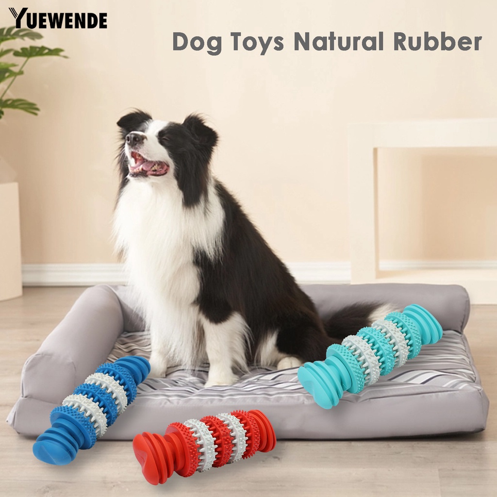 Đồ Chơi Nhai Gặm Bằng Cao Su Tự Nhiên Chống Cắn Lâu Trôi Cho Thú Cưng