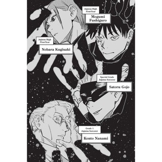 Jujutsu Kaisen 3 (English Edition)