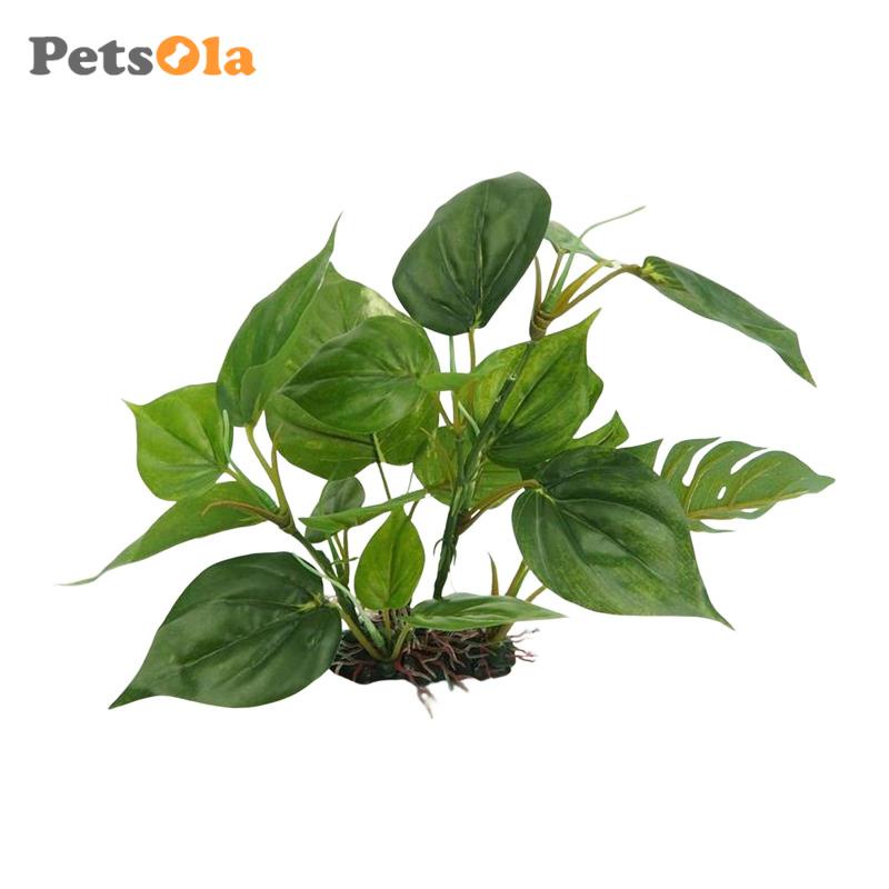 [Koolsoo21] Thực Vật Ẩn Đường Đi Trang Trí Bể Cá