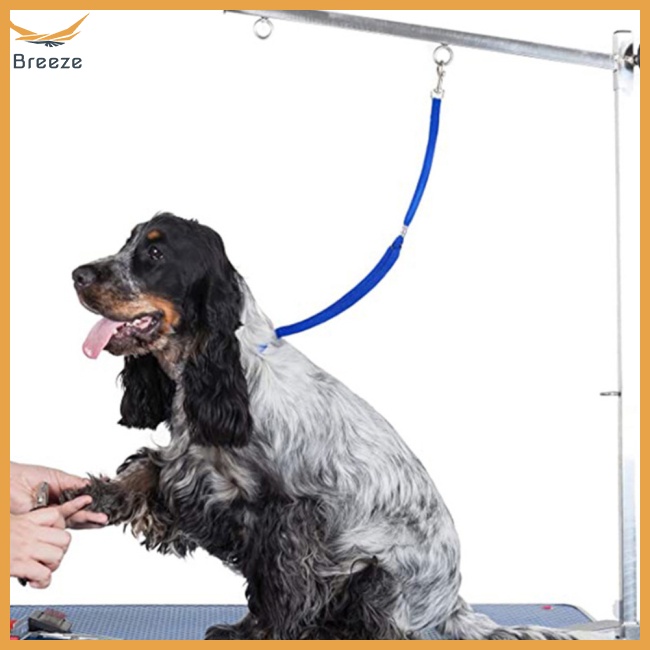 Dây Dắt Thú Cưng Đi Tắm An Toàn Điều Chỉnh Được