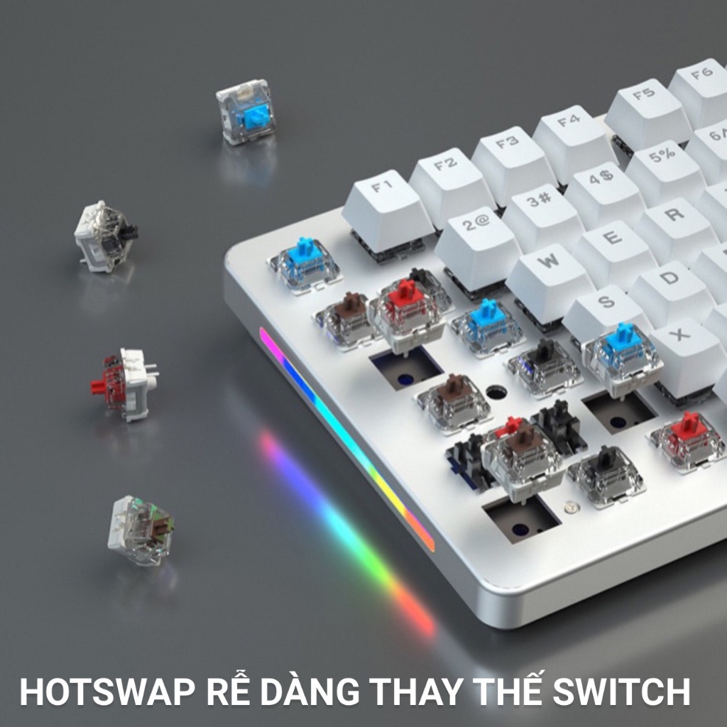 Bàn Phím Cơ Gaming Hotswap Có Dây Nút Vuông Dây Có Thể Tháo Rời 2 Phiên Bản 75 Và 98 Nút-LED 20 Hiệu Ứng-Blue Red Switch