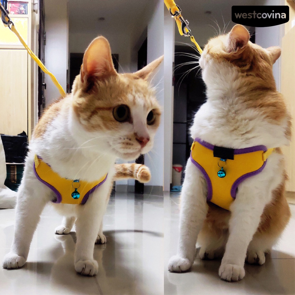 [COD]♞Dây Dắt Thú Cưng Đi Dạo Thiết Kế Thoáng Khí Tiện Dụng