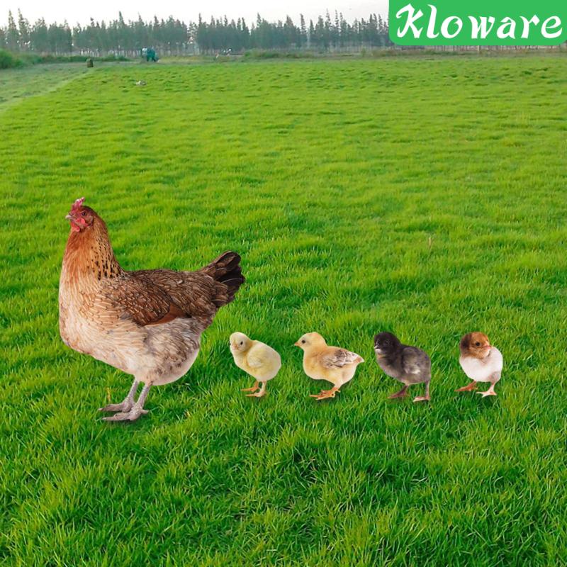 Bộ 5 Tượng Gà Con Trang Trí Sân Vườn