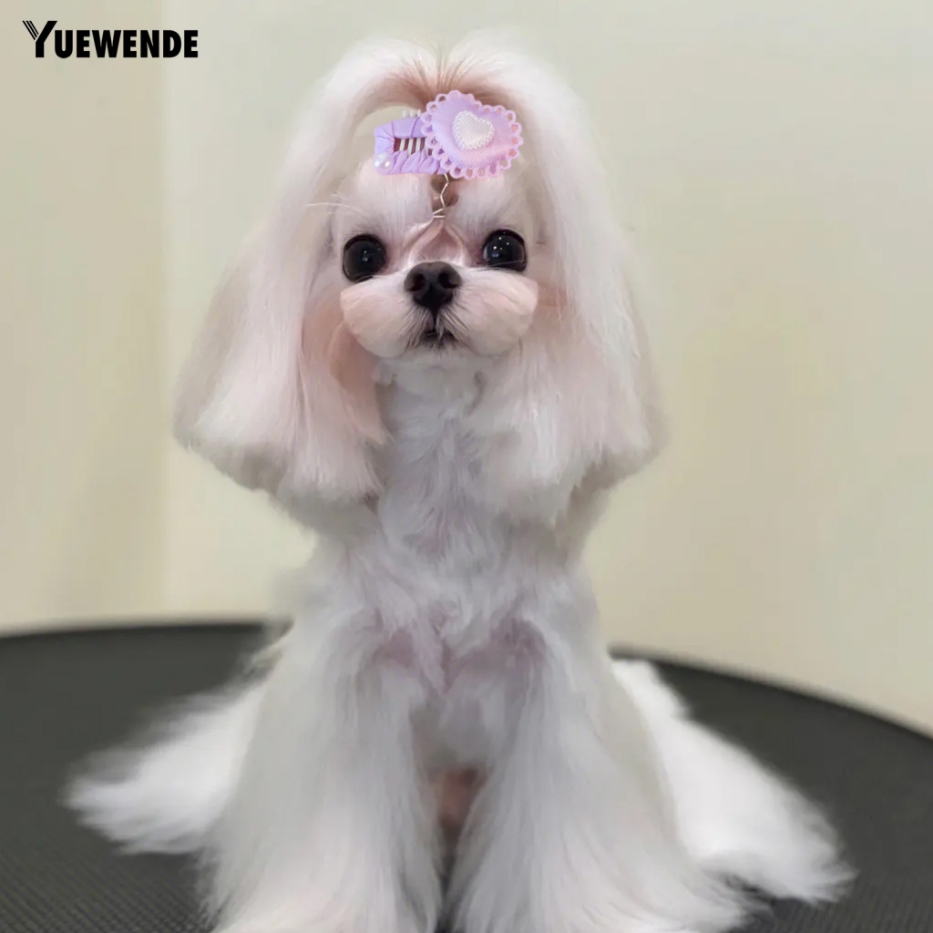 Ye.b Phù Hợp Với Thú Cưng Mặc Hàng Ngày Và Chụp Ảnh Ngoài Trời Dễ Mang Theo Khi Đi Du Lịch Tốt