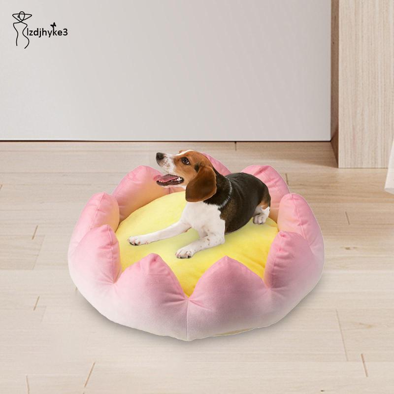 Giường Ngủ Hình Hoa Sen Chống Trượt Thoải Mái Giữ Ấm Mùa Hè Cho Thú Cưng