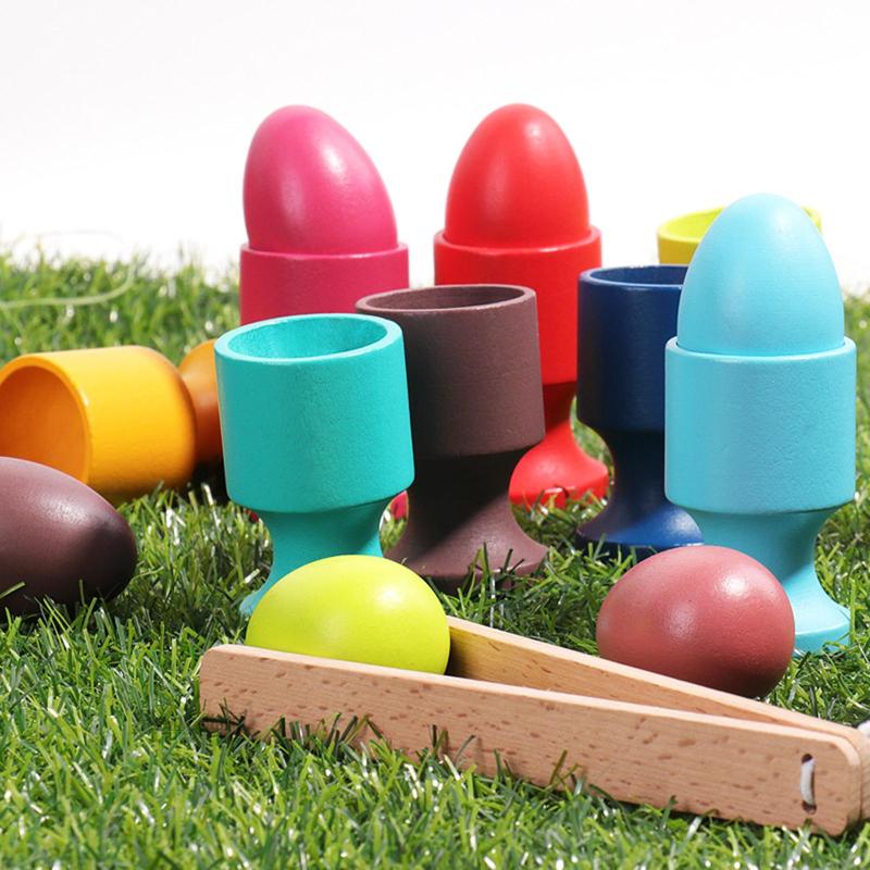 Bộ Đồ Chơi Đếm Trứng Và Cốc Hình Động Cơ Bằng Gỗ Nhiều Màu Sắc Phù Hợp Làm Quà Sinh Nhật Cho Bé Trai