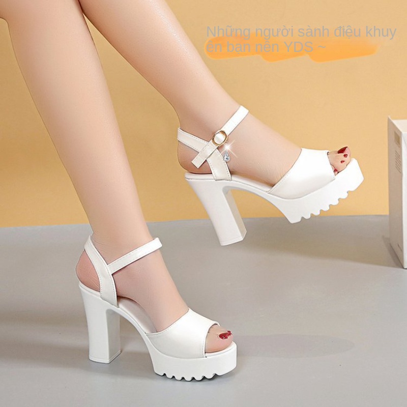 Giày Sandal Cao Gót Đế Xuồng Thời Trang Hàn Quốc Cho Nữ