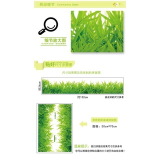 DECAL DÁN CHÂN TƯỜNG CỎ XANH 5