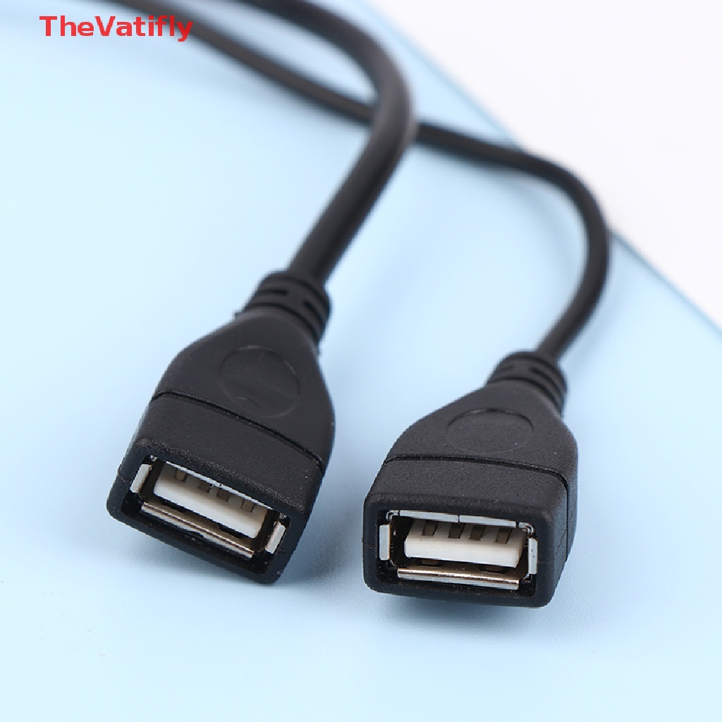 1 Dây Cáp Nối Dài Chuyển Đổi Cổng Cắm 15 / 30cm Sang 2 Ổ Cắm USB 2.0 Chuyên Dụng
