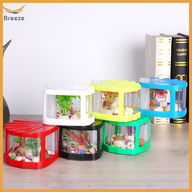 Hộp Đựng Côn Trùng Mini Trong Suốt Có Nắp Đậy Phù Hợp Cho Văn Phòng / Phòng Khách / Bàn Cà Phê