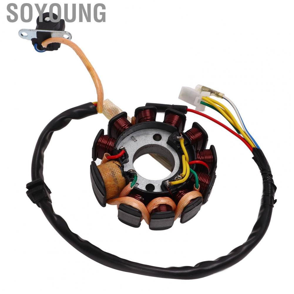 Soyoung Generator Stator Coil  High Performance Easy Installation Magneto Generator Stator Coil High Temperature Resistant 11 Coil  for Scooter
