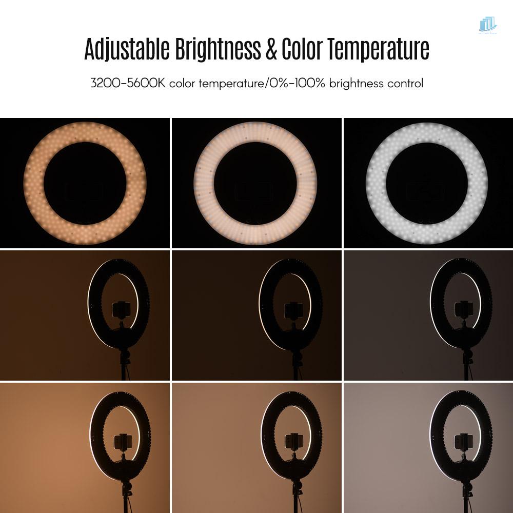 Bộ Vòng Đèn LED SMD 18 Inch 48W 3200K-5600K Điều Chỉnh Được Độ Sáng Vòng Nhẫn Thông Minh Có Giá Đỡ Ba Chân