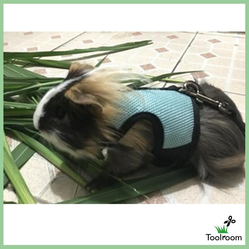 Dây Đai Lưới Thoáng Khí Dắt Chuột Hamster / Thỏ Tiện Dụng