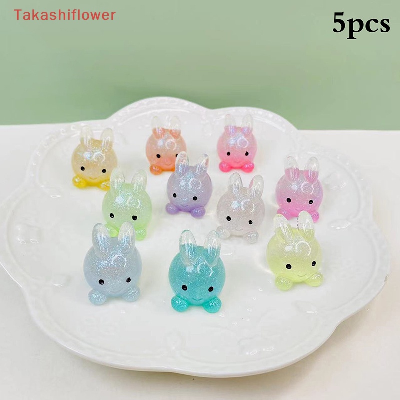 Set 5 Mô Hình Thỏ Hoạt Hình Mini Bằng Nhựa Resin Phát Sáng Trang Trí Sân Vườn