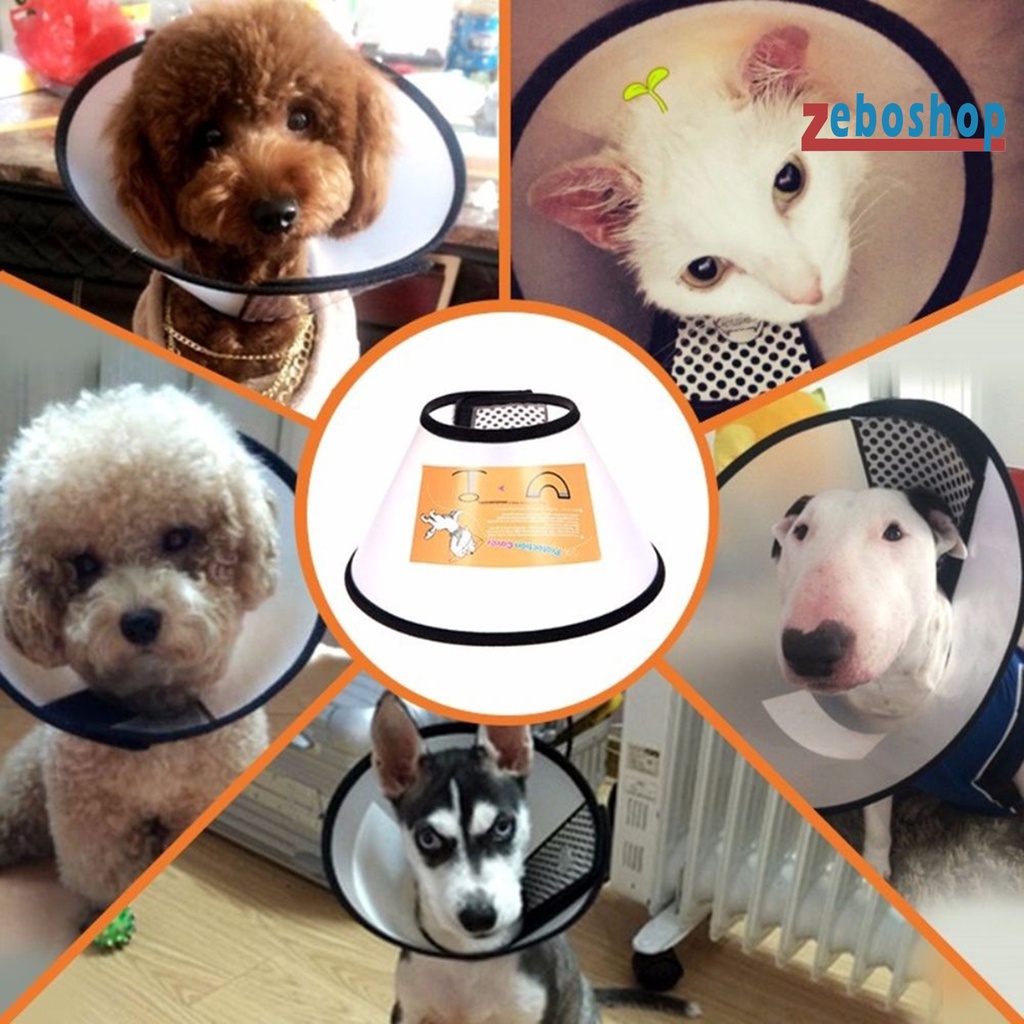 Vòng Cổ Bằng Nhựa Chống Liếm Có Thể Điều Chỉnh Bảo Vệ An Toàn Cho Thú Cưng