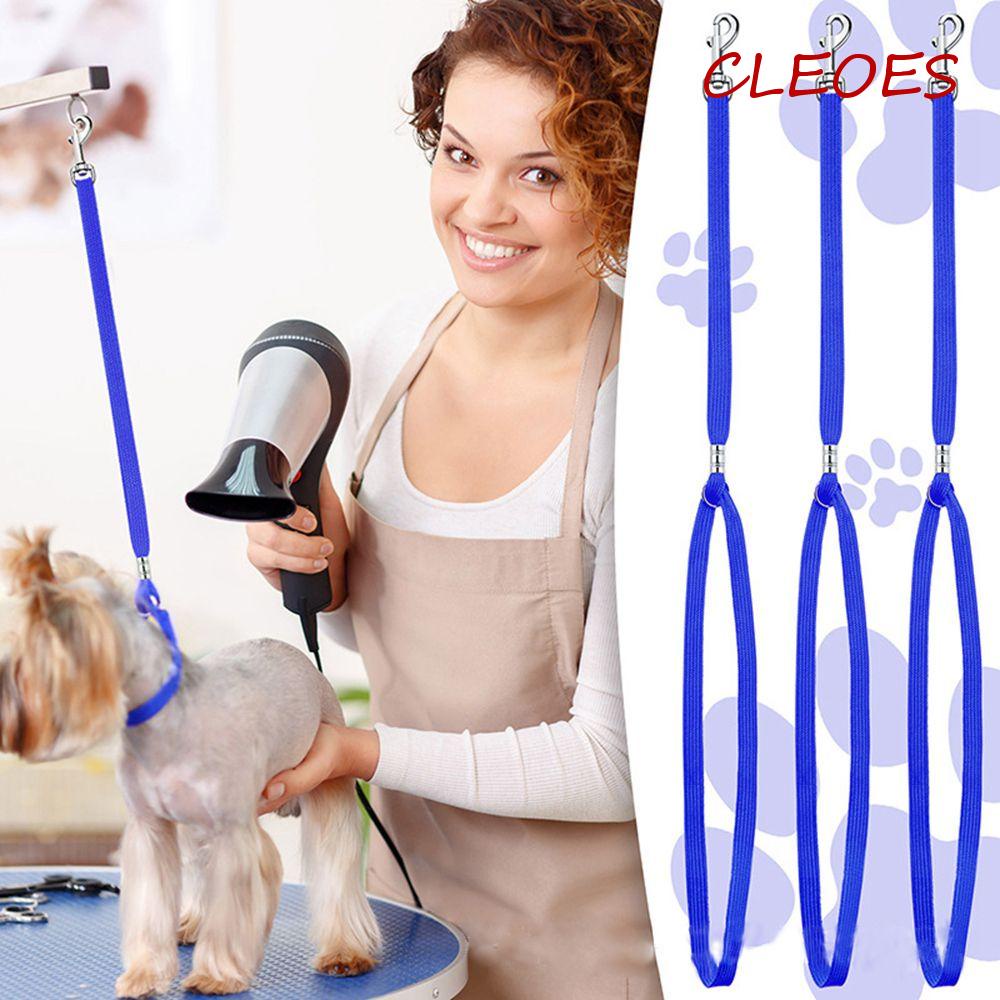 Dây Dắt Thú Cưng Đi Dạo An Toàn Tiện Lợi