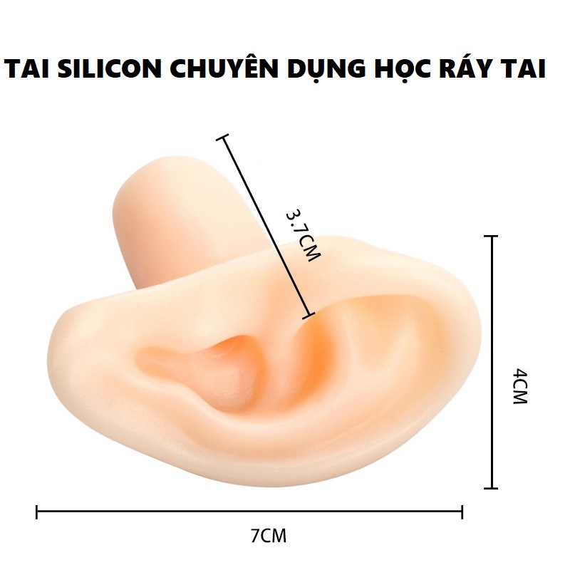 Mô Hình Tai Giả Silicon Chuyên Để Học Ráy Tai