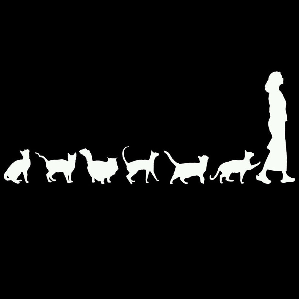 Đề Can Tự Dính Hình Mèo Trang Trí Cửa Sổ Xe Hơi Xe Tải